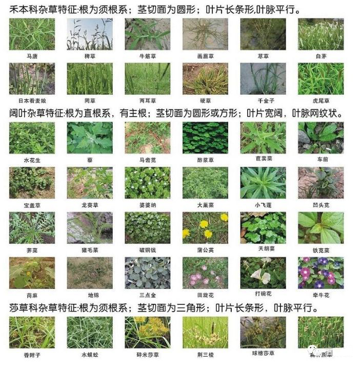 附件