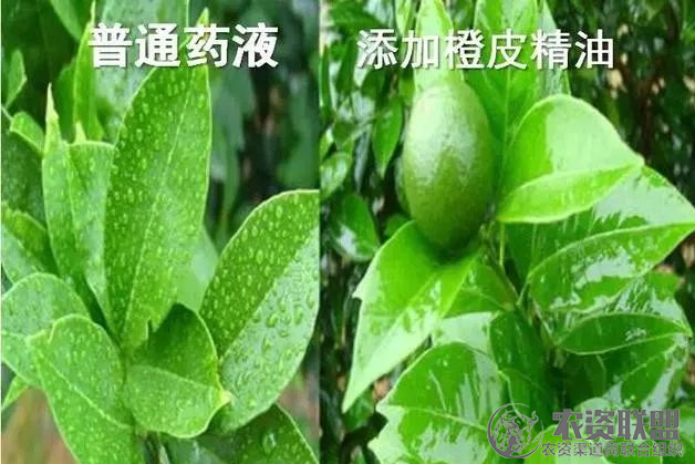 附件
