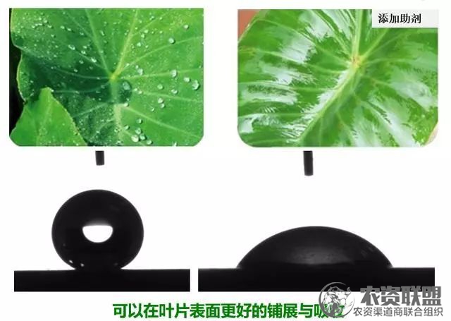 附件