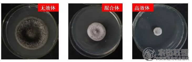 附件