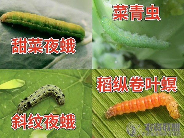 附件