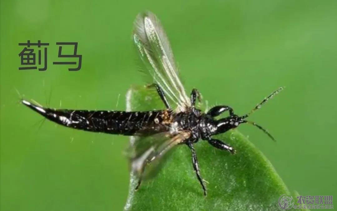 附件