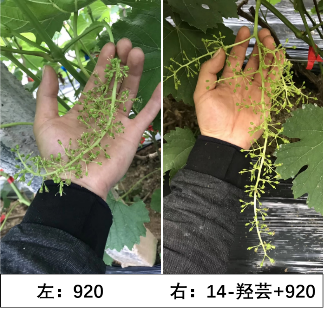 附件