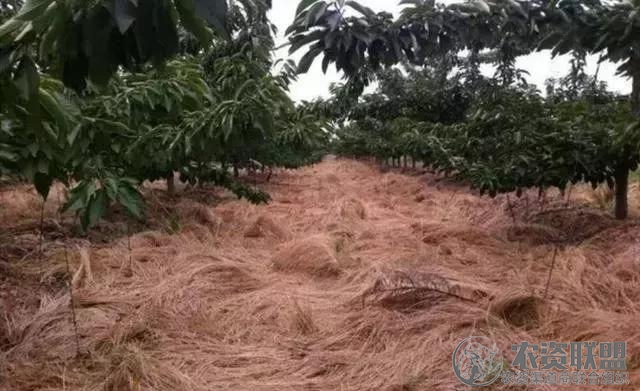 附件