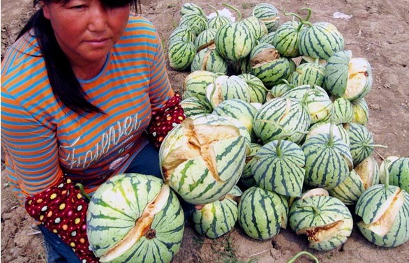 附件